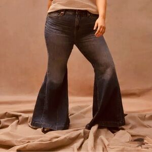 Torrid Dark Blue Flare Jeans